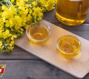 روغن کانولا و کلزا