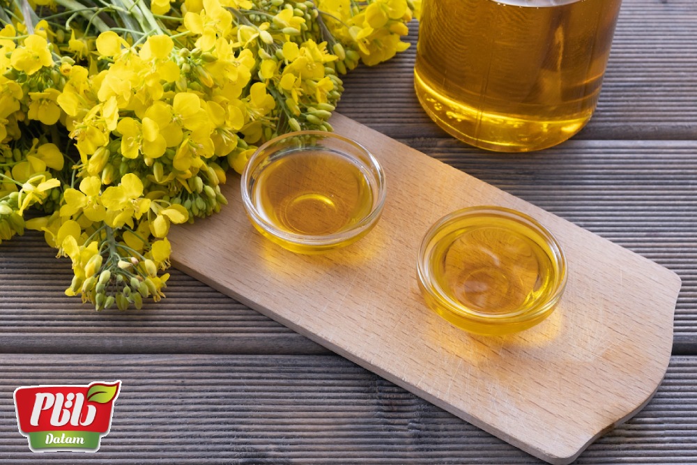 روغن کانولا و کلزا