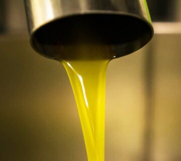 استخراج و تولید روغن